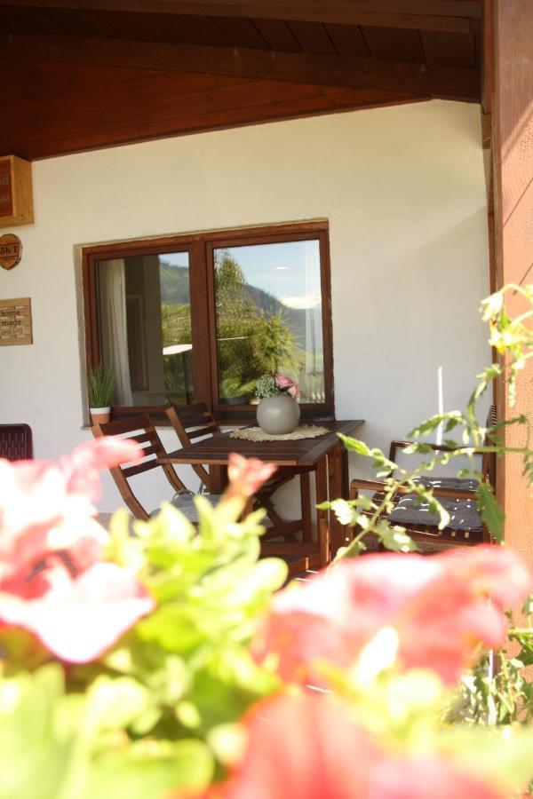 M'S Wood Appartement Maishofen Luaran gambar